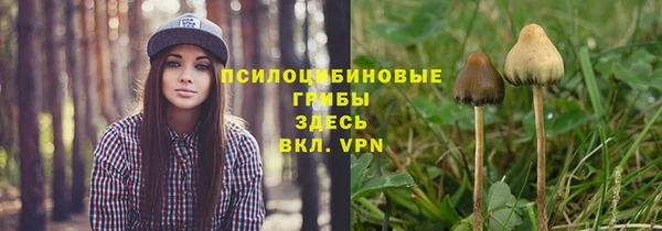 apvp Навашино