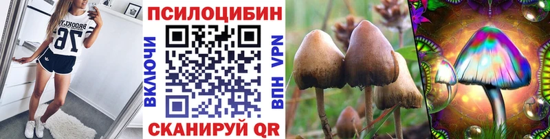 Галлюциногенные грибы мухоморы  как найти закладки  Ершов 